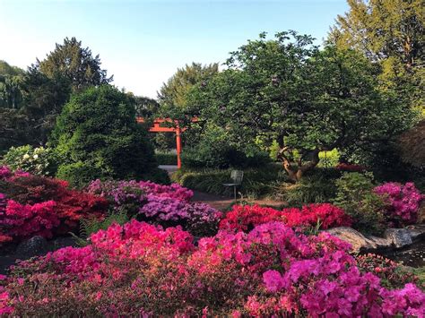 Designing Korean Gardens: A Journey into Tranquility and Harmony - Where Nature Meets Artistic Perfection